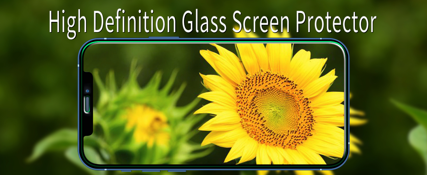 iphone 12 pro screen protector