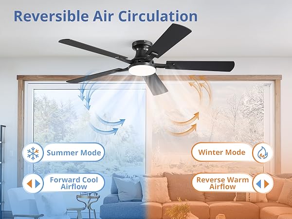 ceiling fan