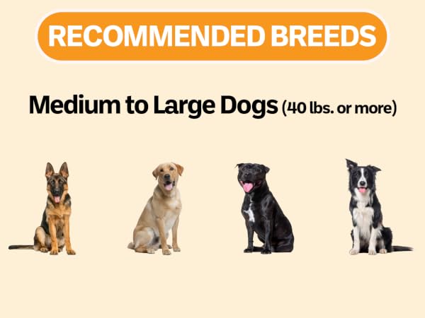 Recommended breeds for 3 cup slow feed bowl