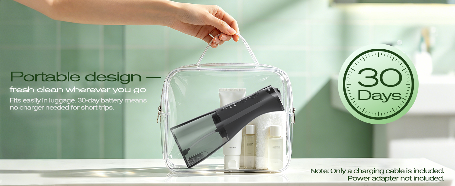 portable water flosser