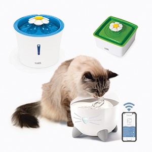 Drinking Fountains