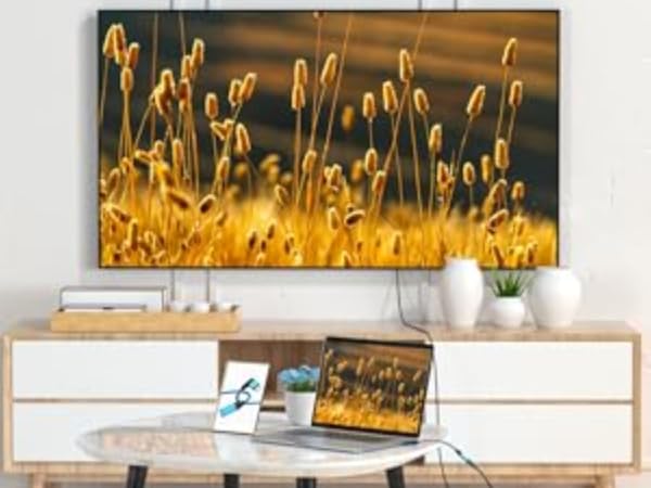 usb c extension cable 4k@60hz video 100w 20gbps 10gbps