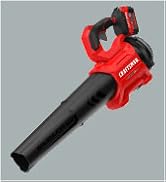 CRAFTSMAN Leaf Blower Cordless with Battery and Charger V20 RP, Up to 110 MPH Power, Handheld Ele...