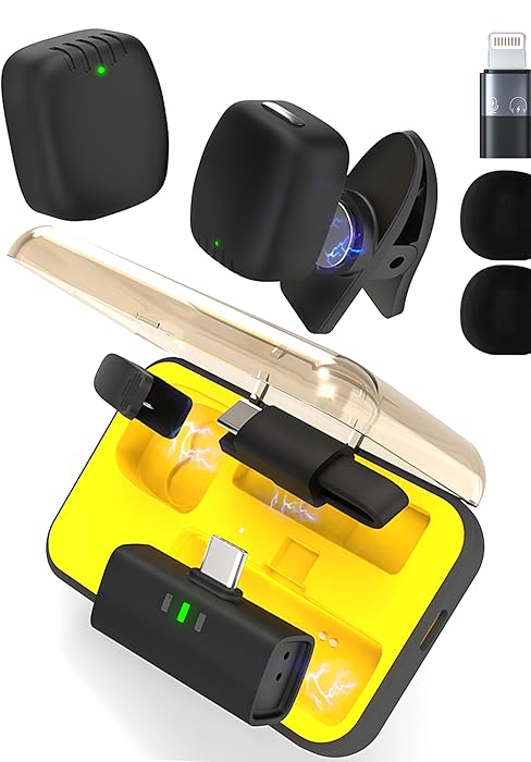 mini microphone