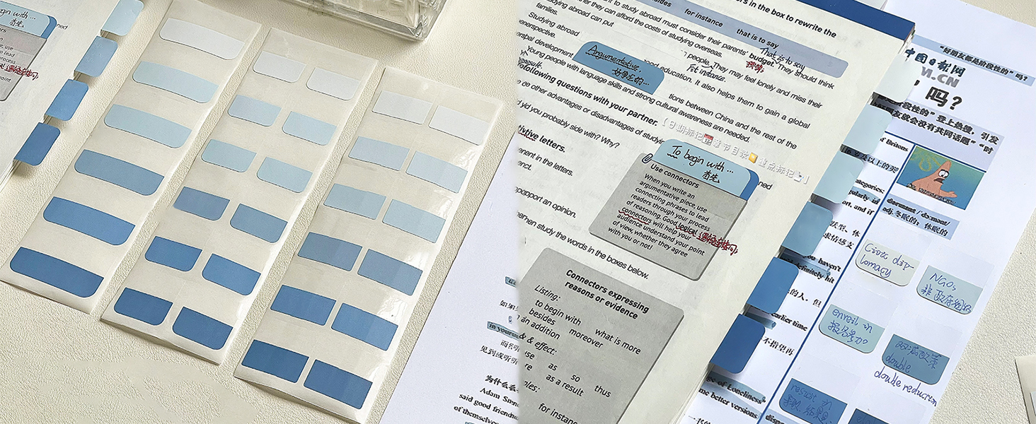 bule book tabs