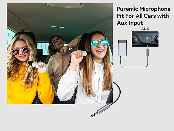 tesla car karaoke modely