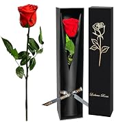 Single Forever Roses Luxury Gift for Women/Men, Fresh Flowers Bouquet for Girlfriend, Wife, Mom, ...