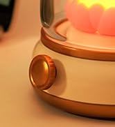 WANIDEA Lucky Capybara Night Light, Cute Lamp,Rotate to Adjust Brightness,Rechargeable Night Ligh...