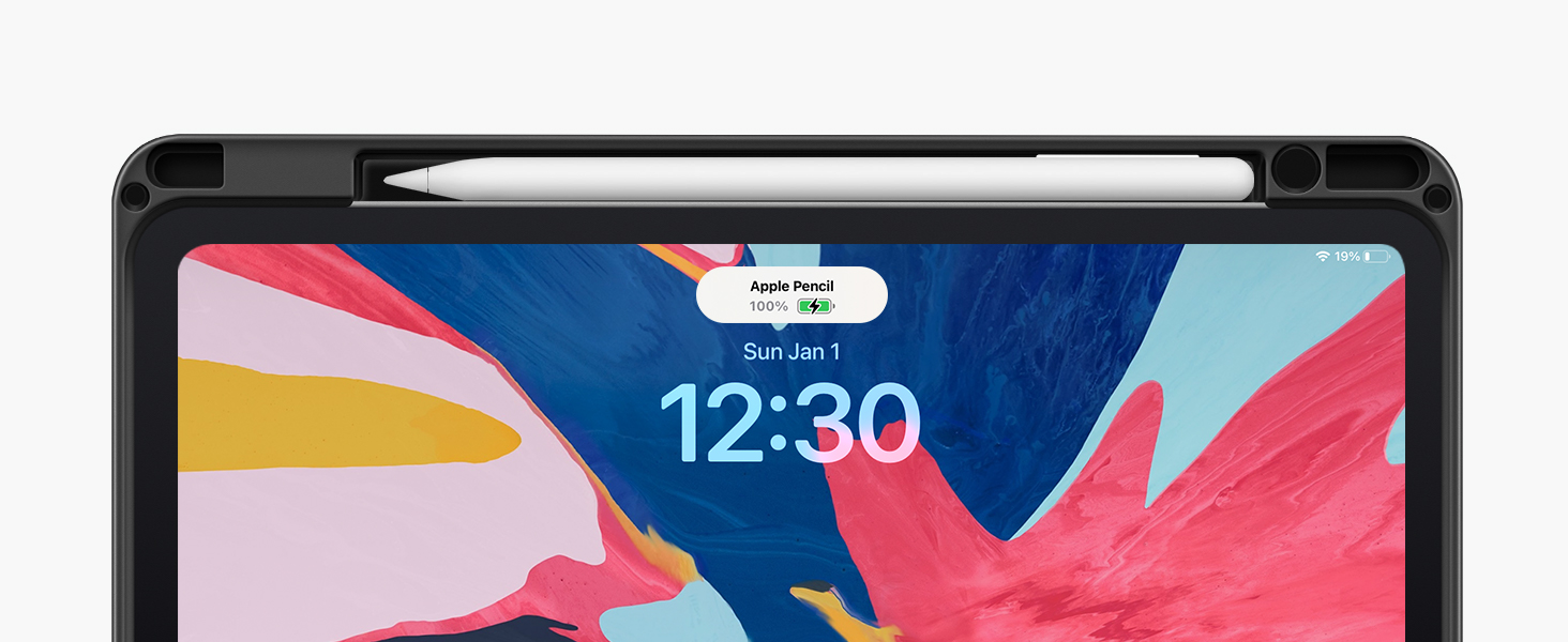 ipad pro 11 inch case M5