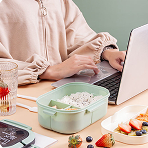 Bento Box Adult