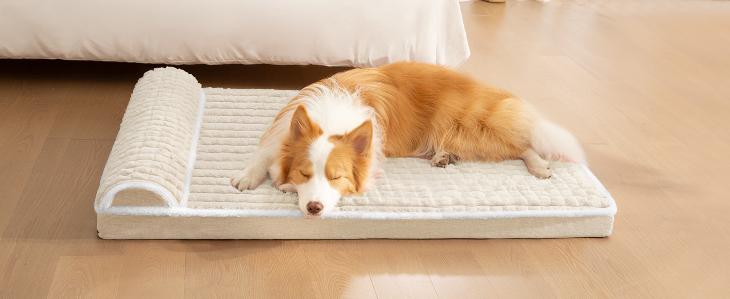 dog bed large sized dog