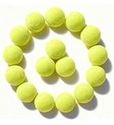 PoyPet 16-Pack Tennis Balls Bulk for Practice,Training and Beginners | Ideal for Dog Fetch,Chew a...