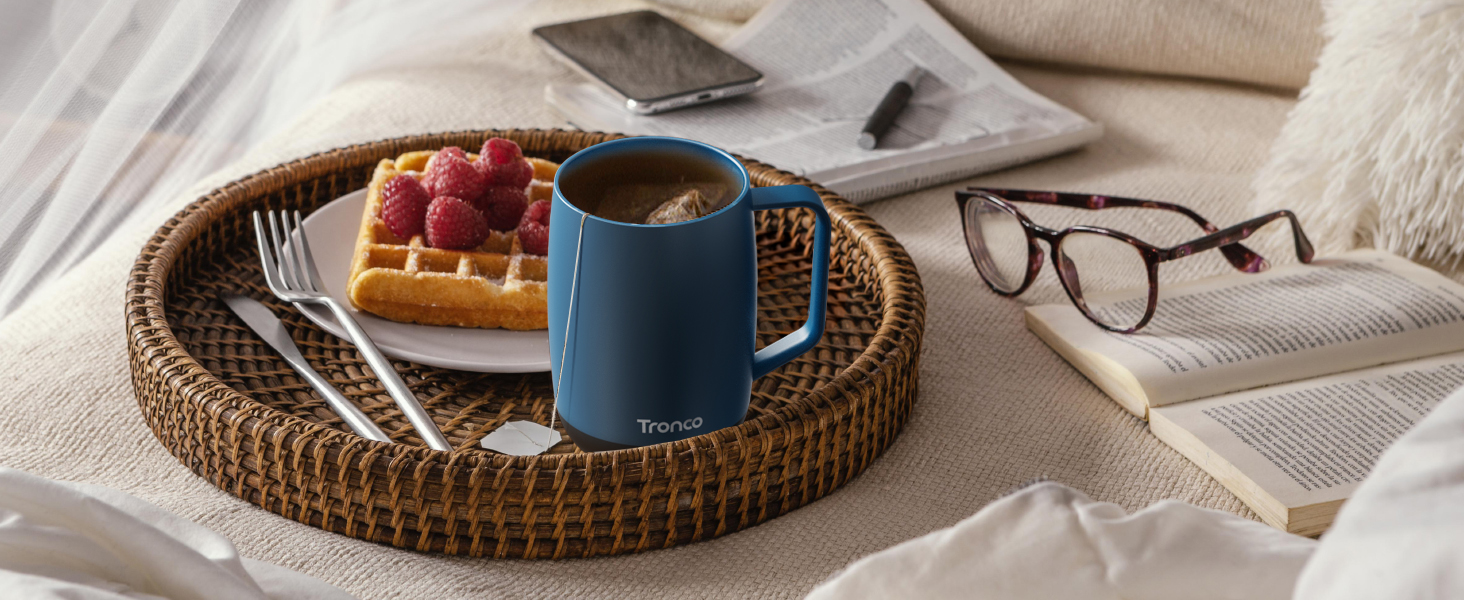 temperature control mug