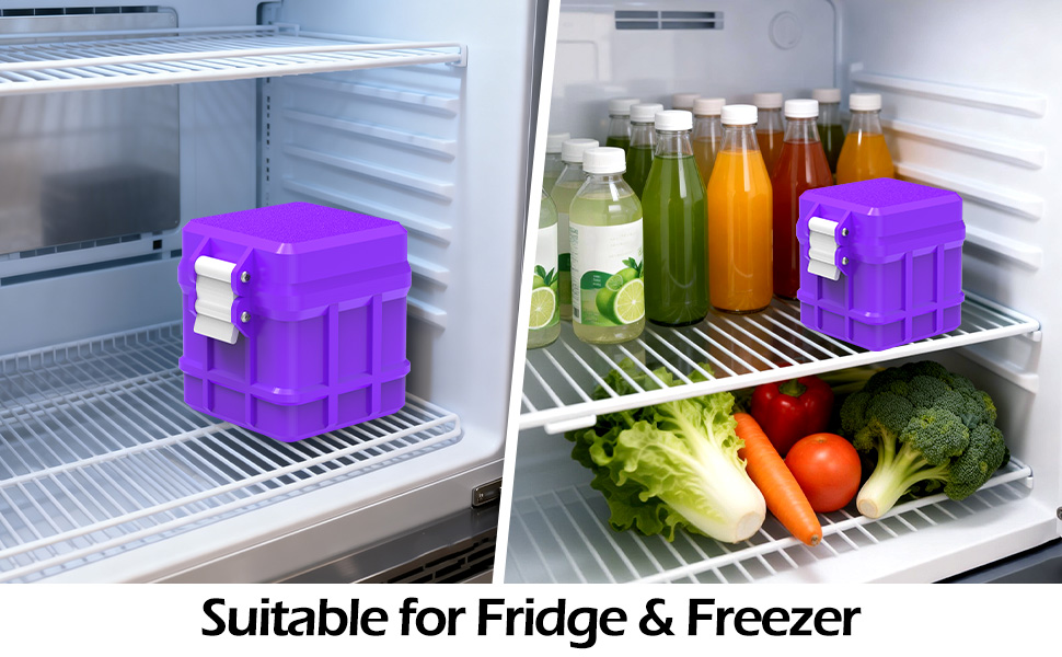 25 Slots Cartridge Storage Case Purple-4
