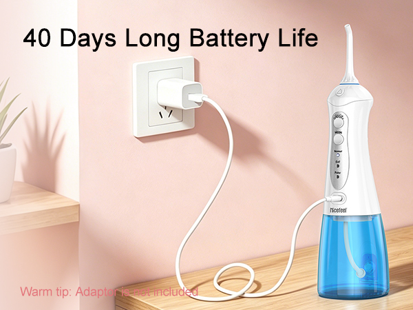 portable water flosser