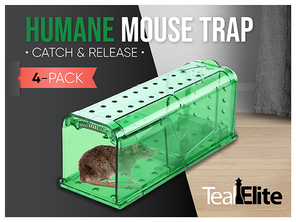 Humane Mouse Trap Catch & Release 4 Pack in Green