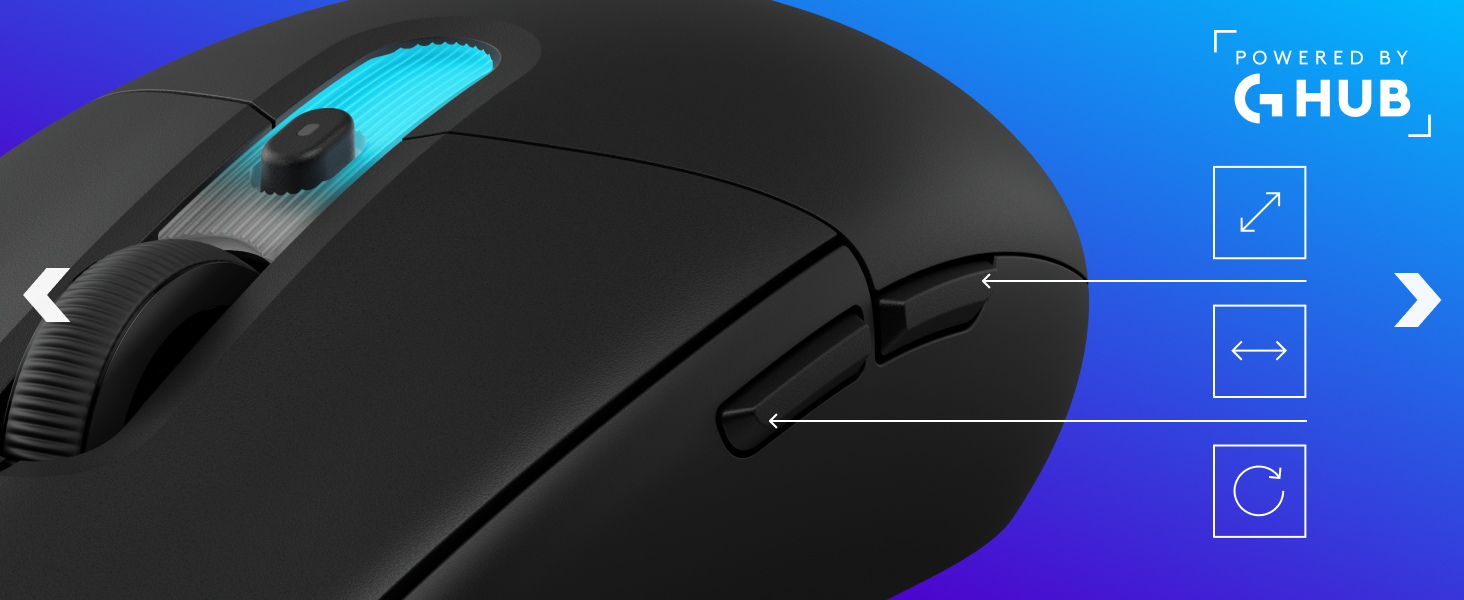 a black mouse