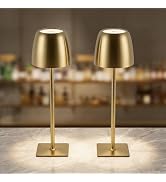 OLISHALIGHT Cordless Table Lamp Rechargeable: Metal & Acrylic 5200mAh Long-Lasting 3 Color Temper...