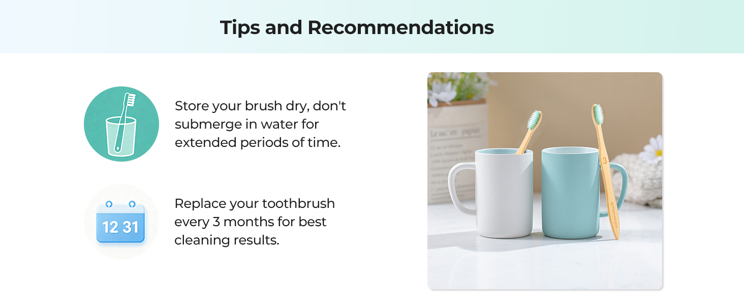 tooth brushes soft adult