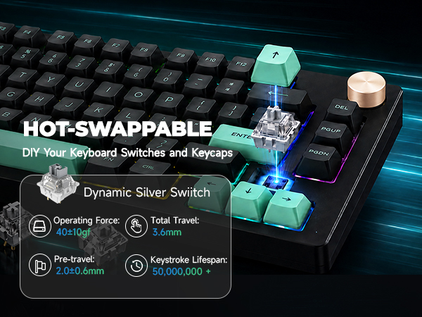 HOT-SWAPPABLE SWITCHES