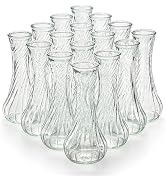 Noamus 16 Pack Glass Bud Vase, Clear Small Flower Vases in Bulk, Vintage Glass Vases for Centerpi...