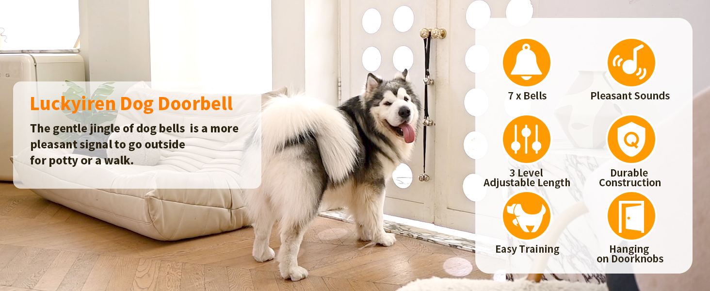 The dog touches the dog doorbell and waits for the owner to open the door