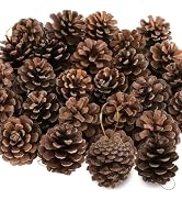 24 PCS Natural Pine Cones, 1.96 IN Pinecone Ornaments, Rustic Pine Cones for Crafts, Winter Decor...