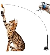 Leo's Paw - interactive bird simulation cat toy - realistic flying cat suction toy