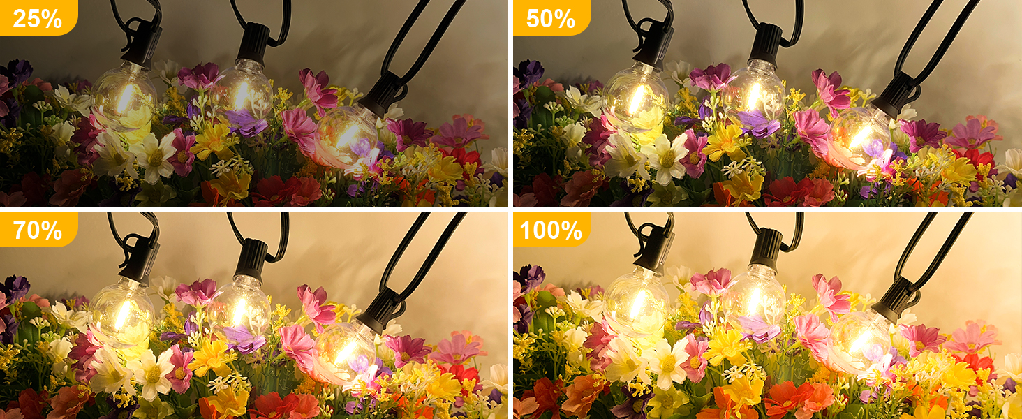 dimmable lights