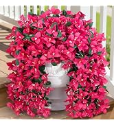 Lifewit Artificial Bougainvillea Flowers, 2 PCS Plastic Long Trailing Vines Fake Flowers for Outd...