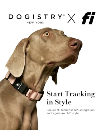 adjustable dogs collar small dog accessories tiny puppy leather pet neck strap cute pink xxsmall xs