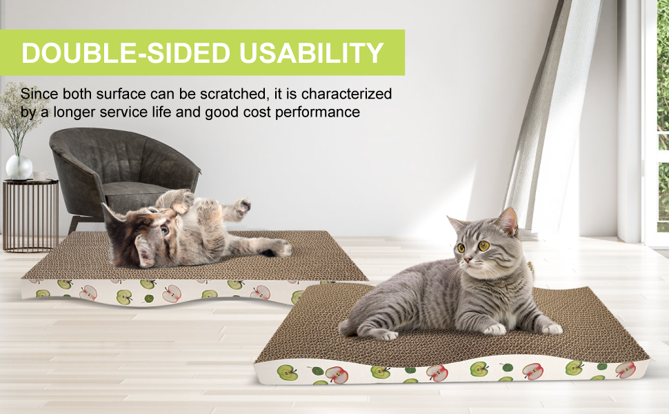 cat scraching board
