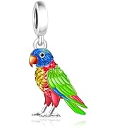 BSFJTY S925 Sterling Silver Bird Charms, Hummingbird Cardinal Kingfisher Animal Bead Charms, Red ...