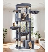 Taoqimiao 72 Inch Cat Tree, XXL Cat Tower for Indoor Cats Large Adult 25Lbs+, Extra-Large Platfor...