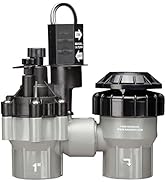 Rain Bird DASASVF100 Professional Grade Anti-Siphon Valve with Flow Control, 1