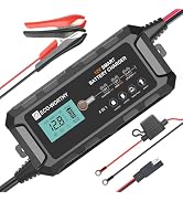 ECO-WORTHY 12V 10A Battery Charger for Lead-Acid, LiFePO4 Battery | Battery Maintainer, Trickle C...