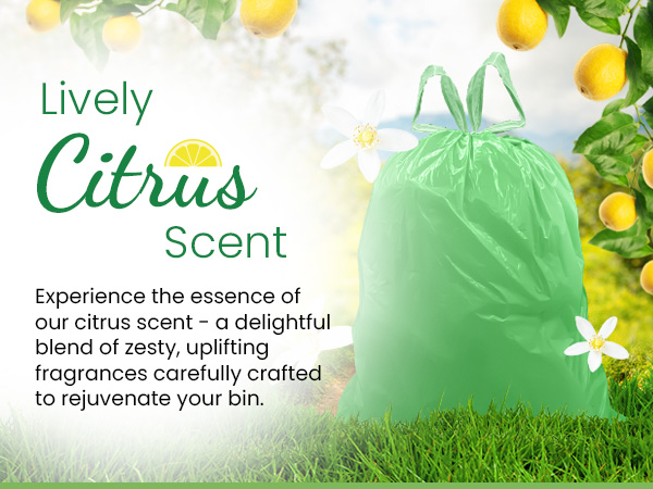Lively Citrus Scent - Experience the essence of our citrus scent crafted to rejuvenate your bin