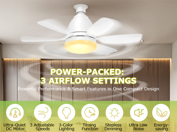 rechargeable ceiling fan camping ceiling fan with light garage light and fan