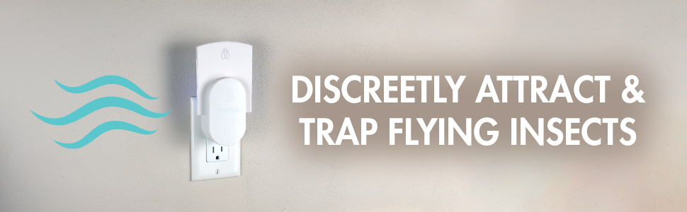 Discreetly Attract and Trap Flying Insects