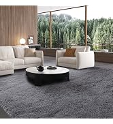 Large Rug for Living Room 10x12: Area Rug 10x12 Grey Rugs for Living Room - Fluffy Shag Rug 10x12...