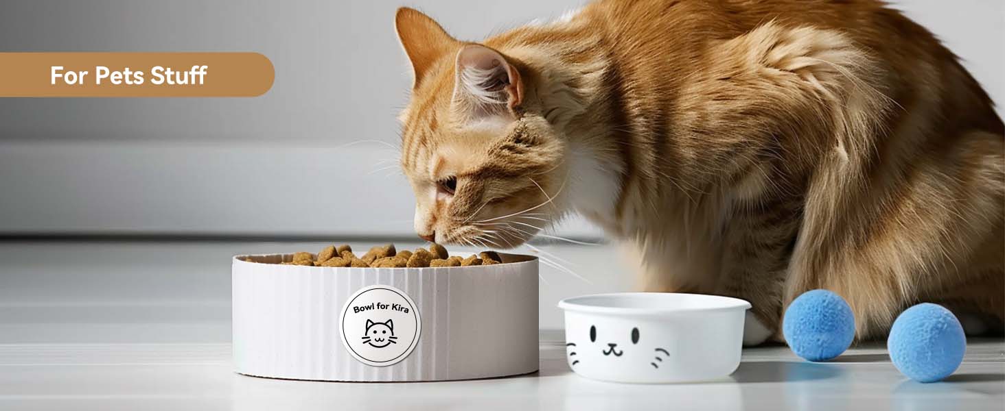 NIIMBOT B21 LABEL MAKER