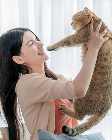 cat toys