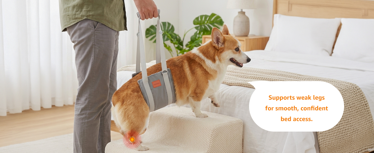 dog harness for large dogs