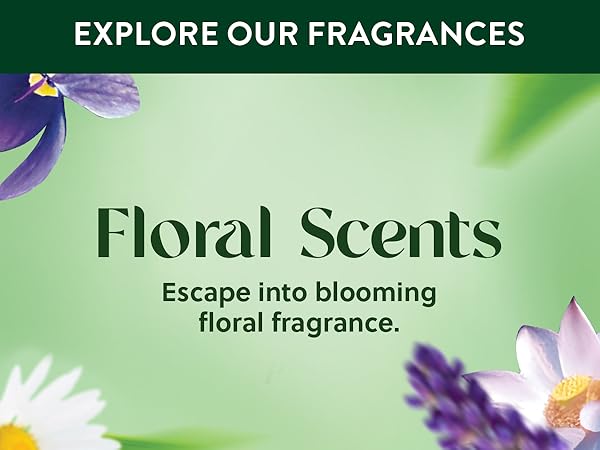 bathroom smell good,bathroom freshener long lasting