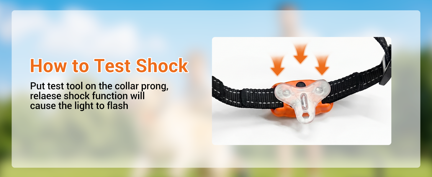 dog training collar with remote