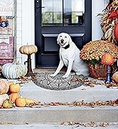 Half Round Door Mat for Outside Entry Rug Decorative Welcome Mat for Front Door Mat Outdoor Entra...