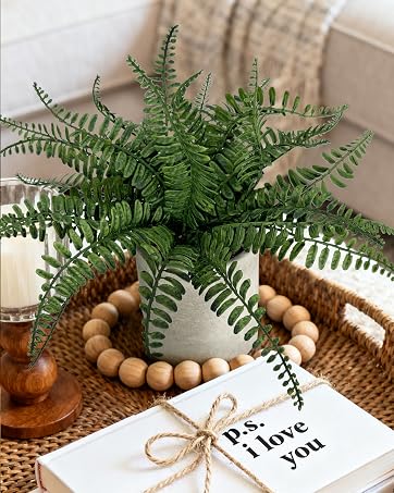 fake fern