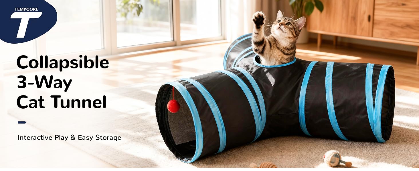 cat tunnel