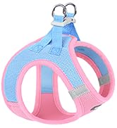 Blue and pink circular pet harness with carrying handles, viewed from above against white background.