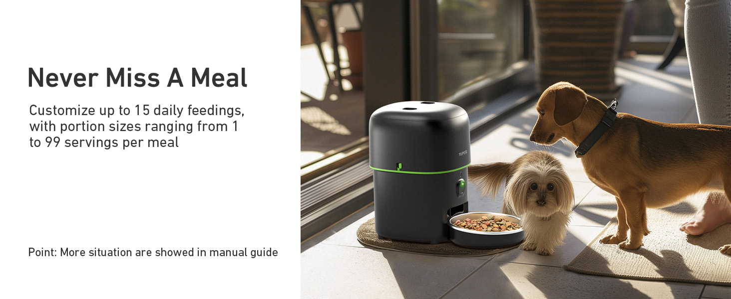 automatic cat feeder with camera
